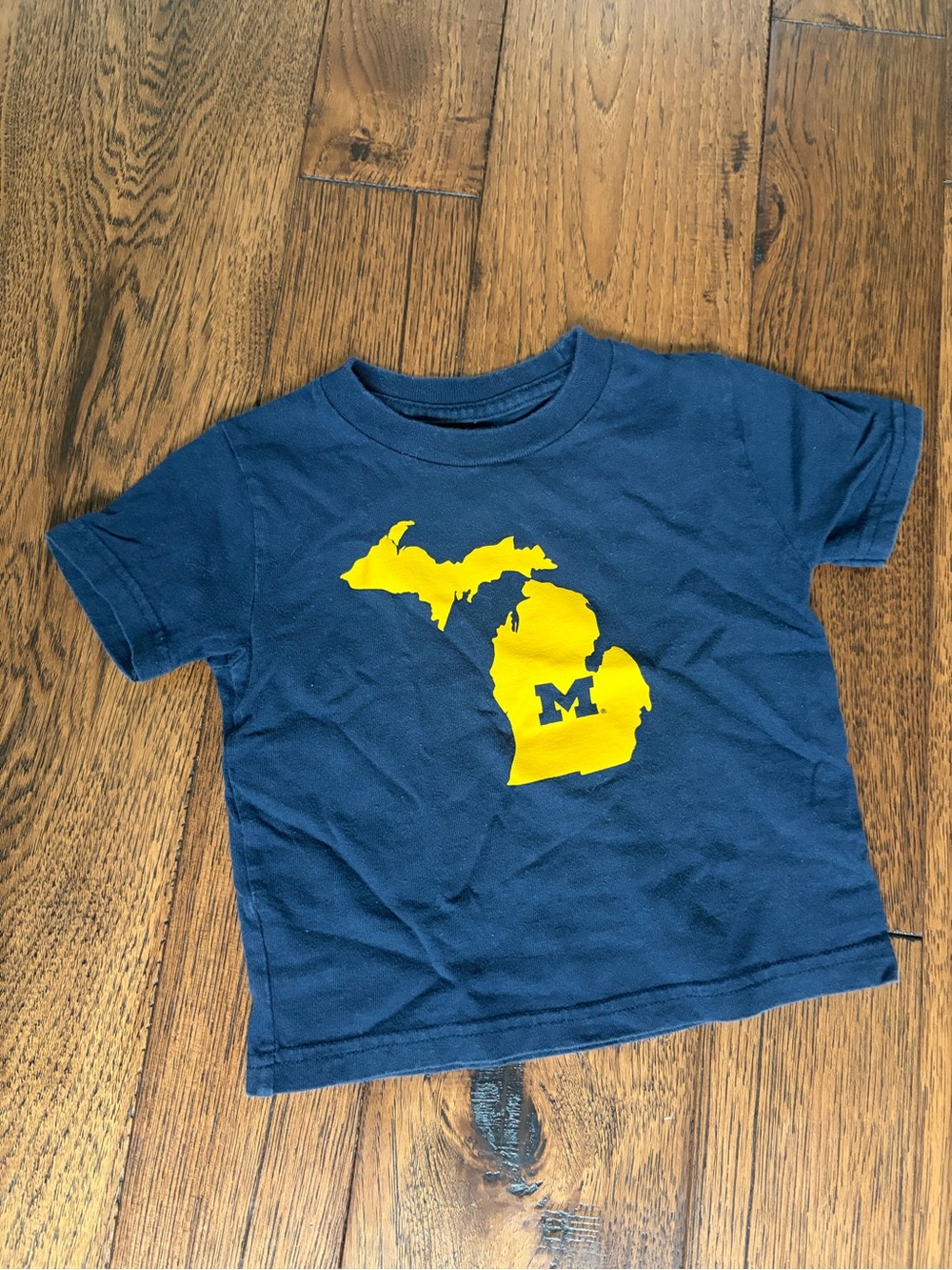 Michigan t-shirt with block M